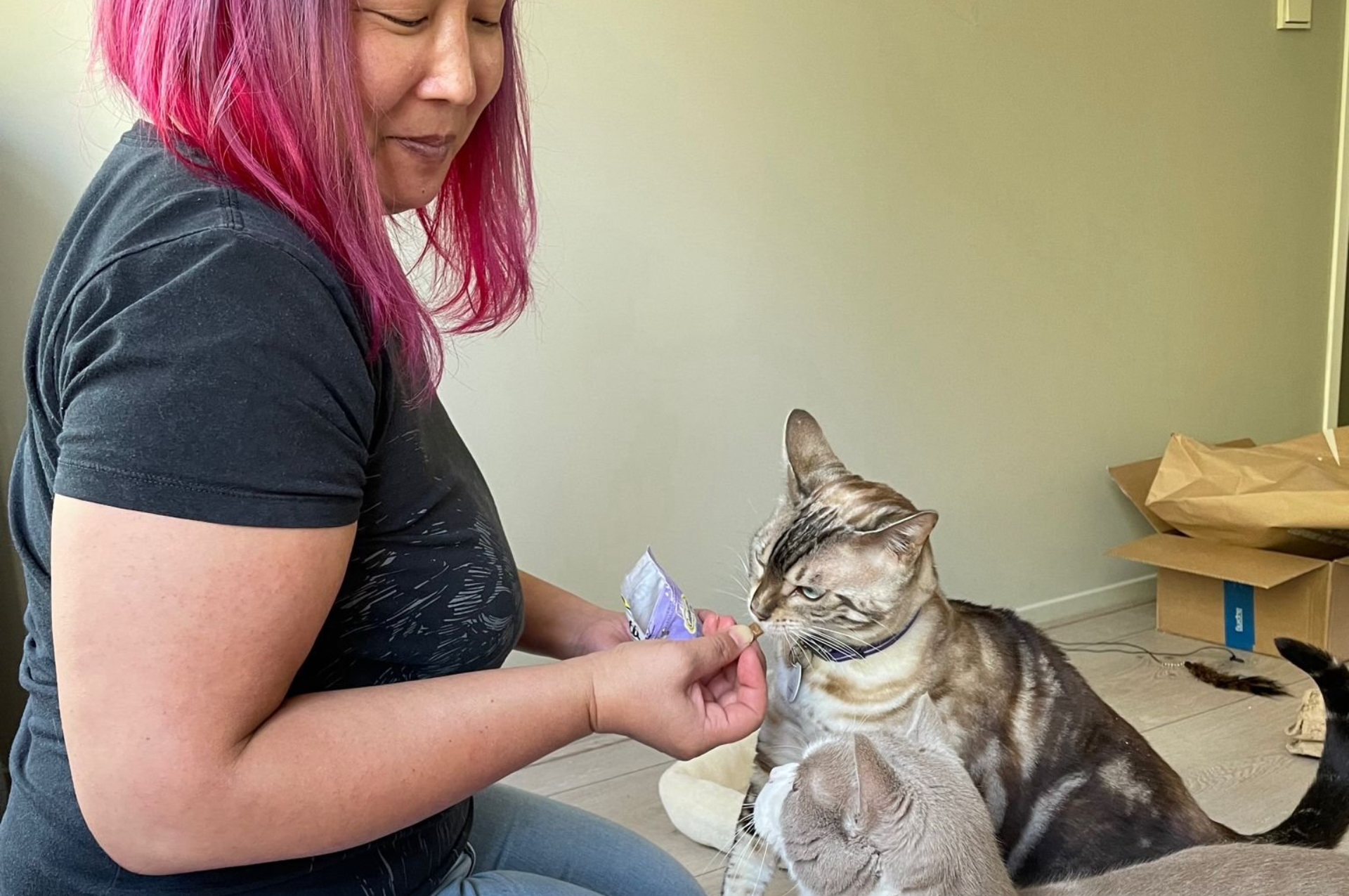 First Slide
